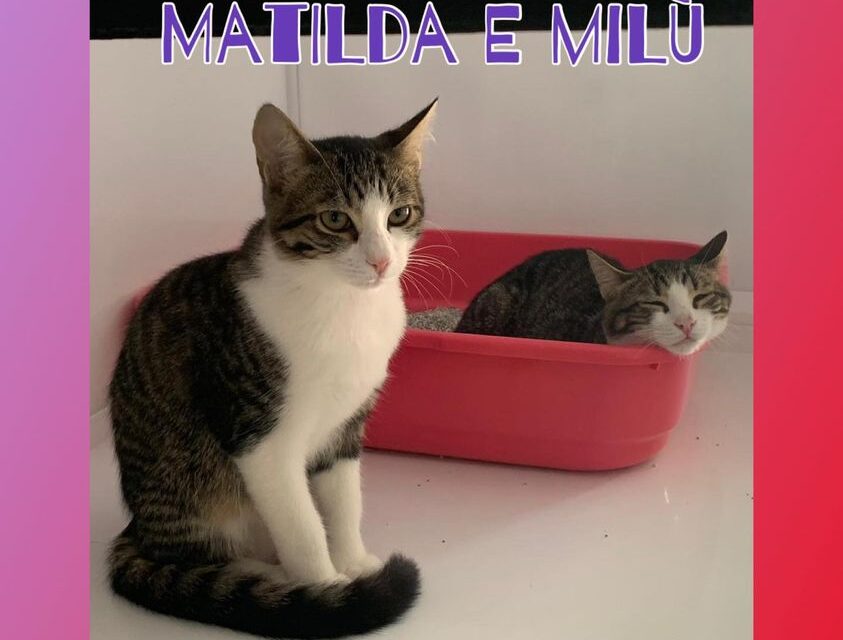 MATILDA e MILU’